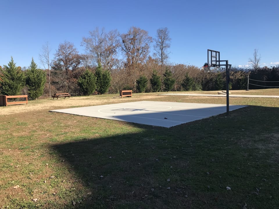 Basketball and horseshoes, family fun!
