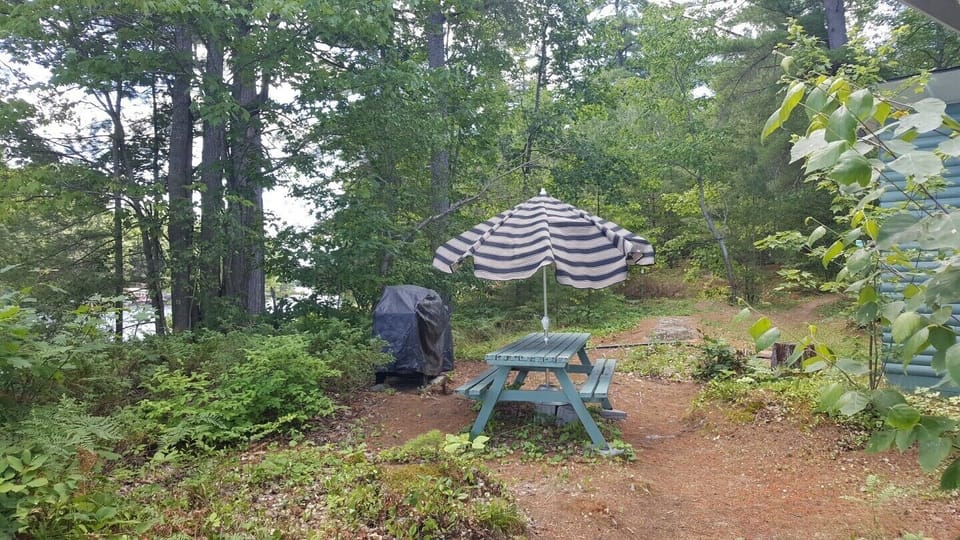 Picnic table with gas BBQ