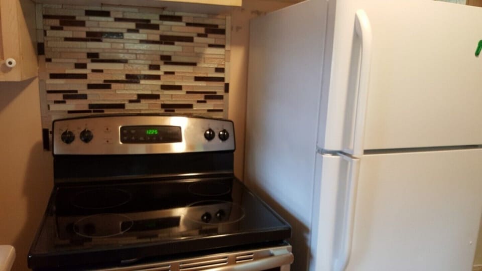 Stainless steel stove and Frigidaire fridge