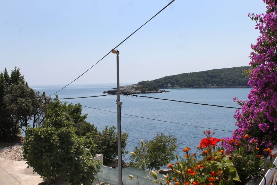 Terrace 2