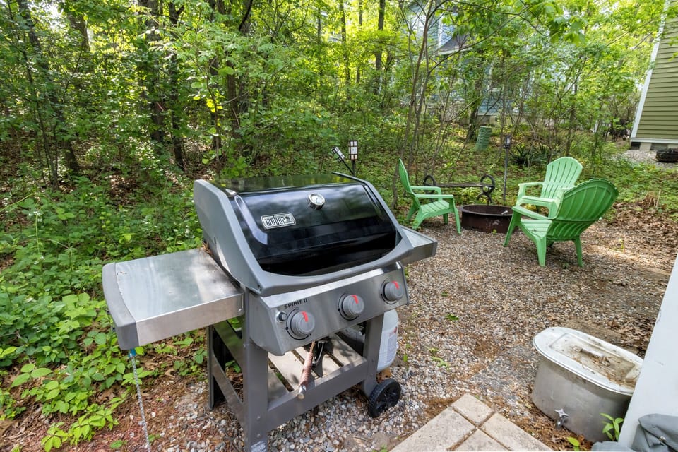 Gas Grill | Fire pit