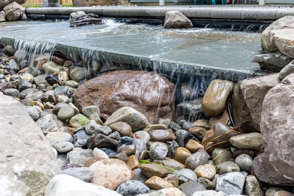 Water garden.