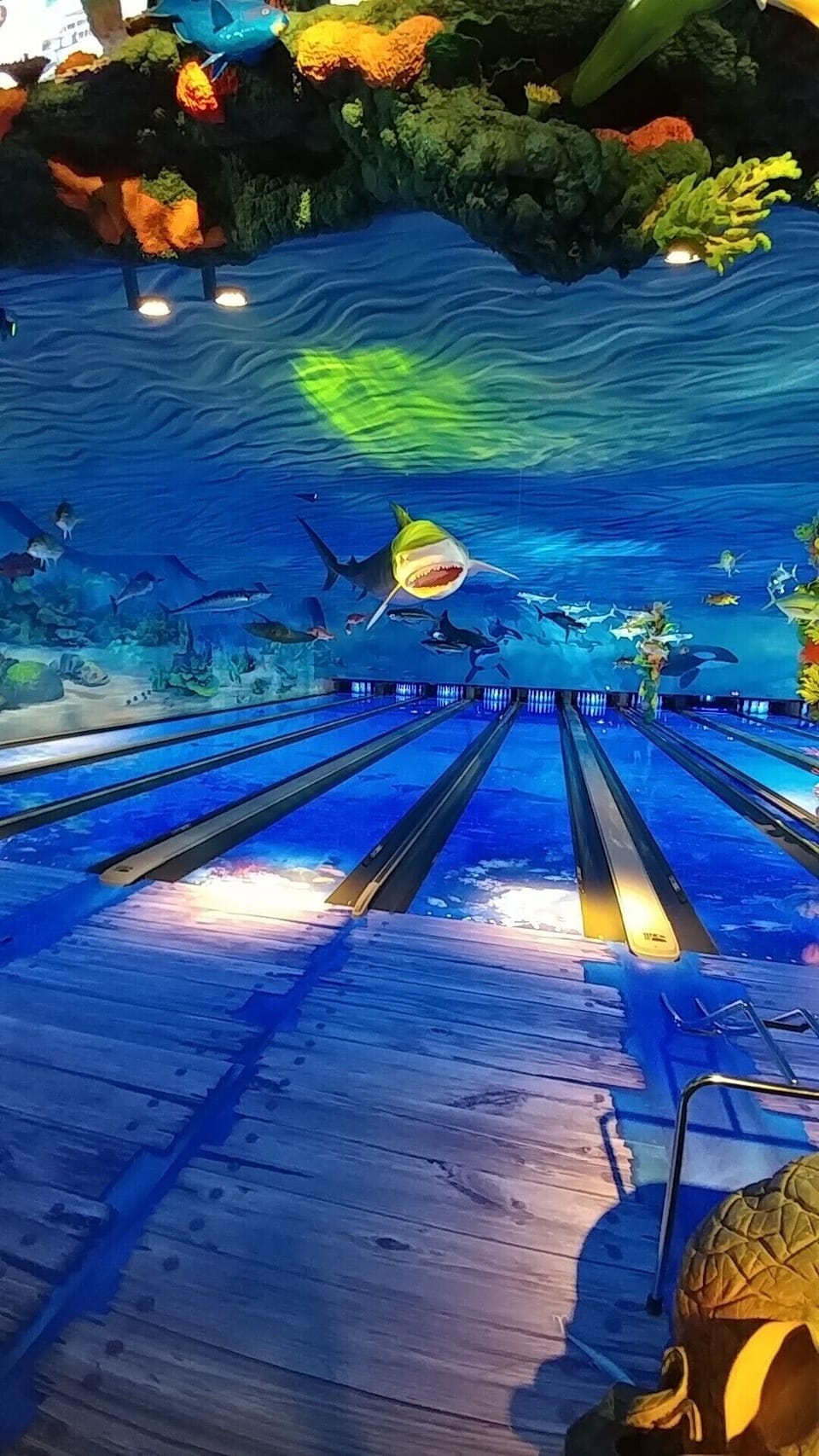 Under the Sea Bowling at the Big Cedar Fun Mountain Park
