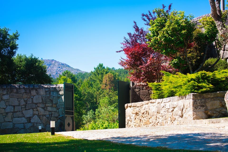 Entrada