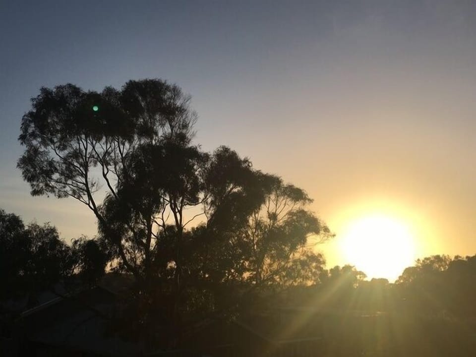 Views looking east from deck at sunrise