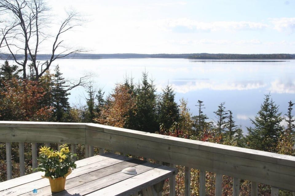 view from patio 