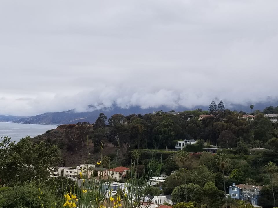 Morning fog in the canyon.
