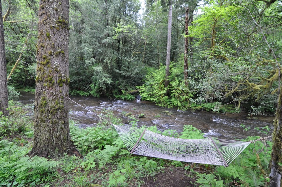 Hammock and babbling Glenn Creek