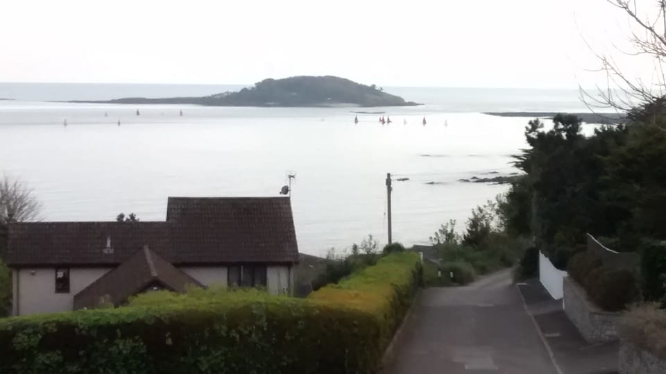 Looe Island