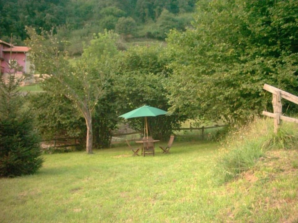 Garden, Park