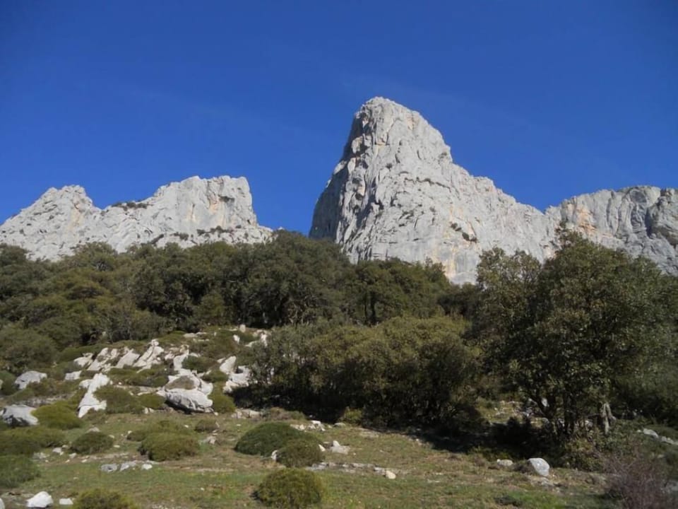 Mountain view