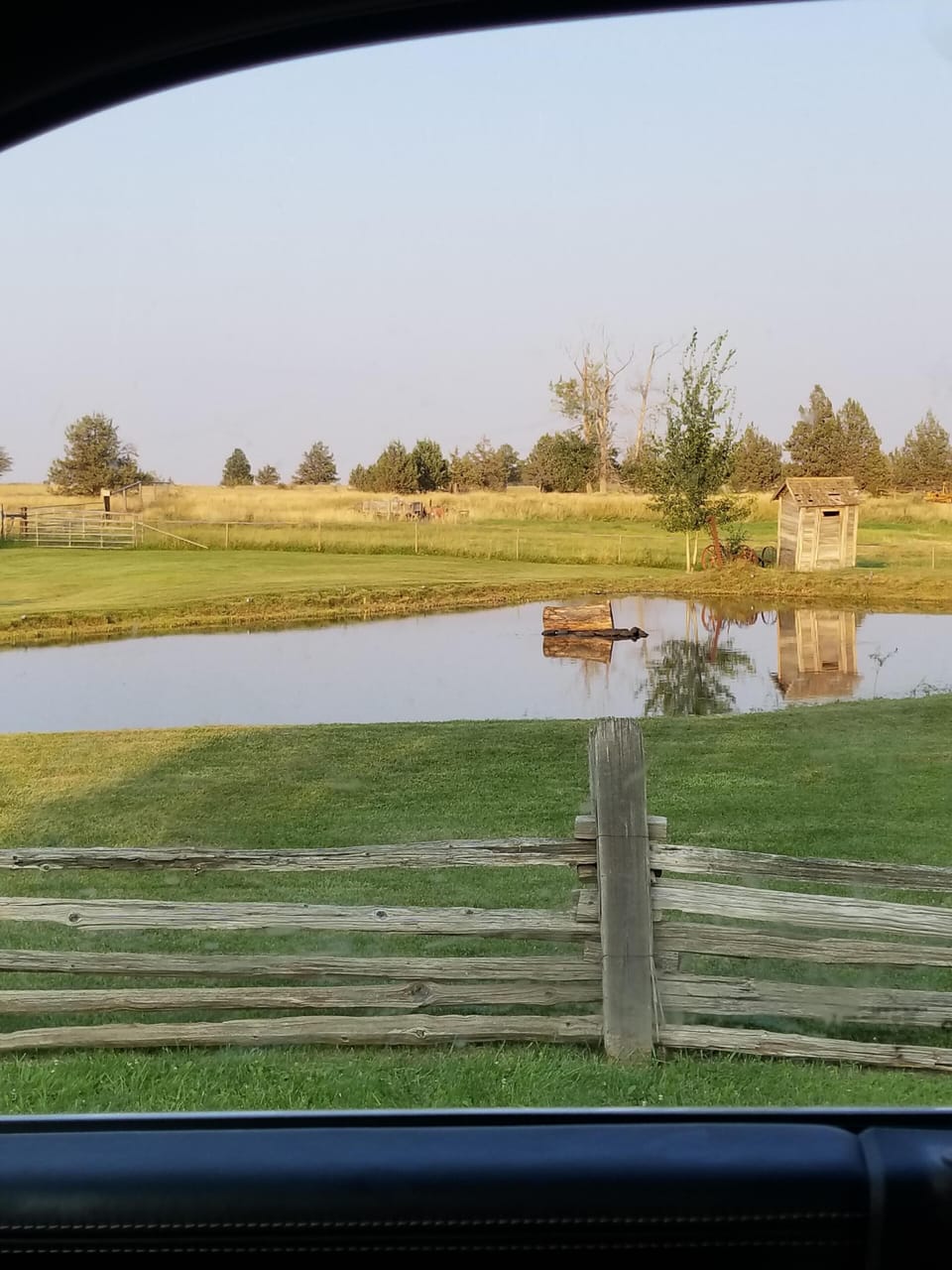 Pond