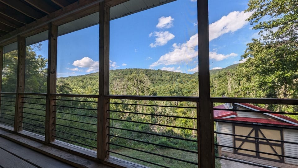 View from the screened in porch