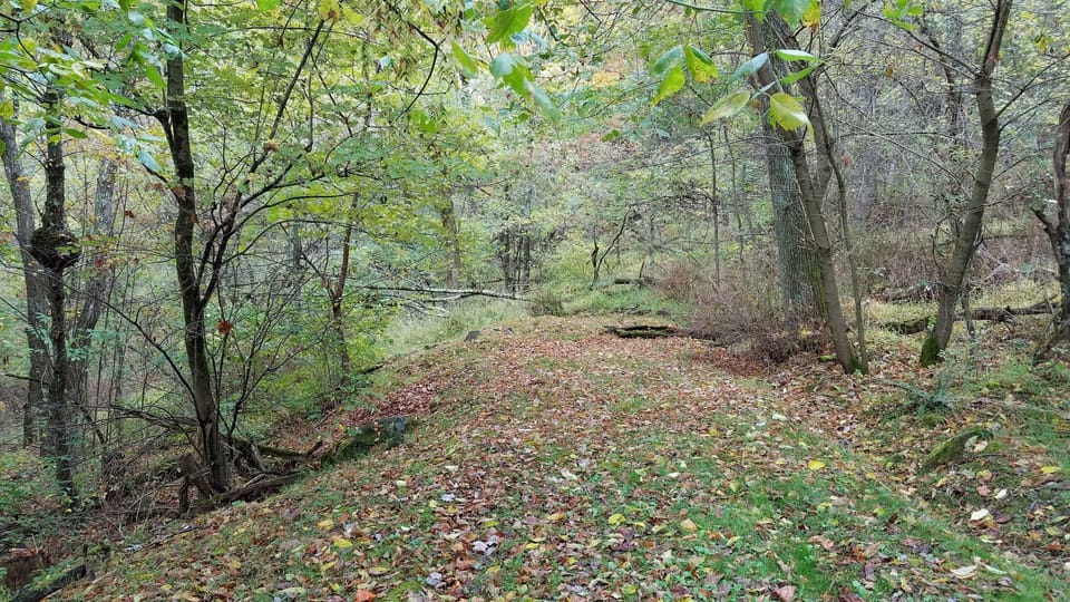 Trails back in the woods- will you be able to find the stream and waterfall?