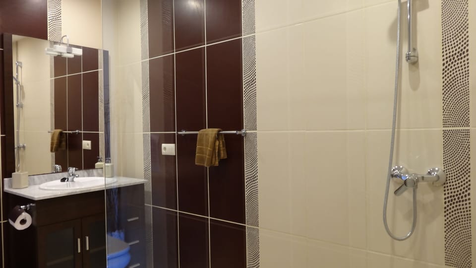 Large walk in shower, wc vanity with mirror.
