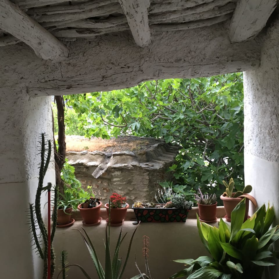 From the front door.