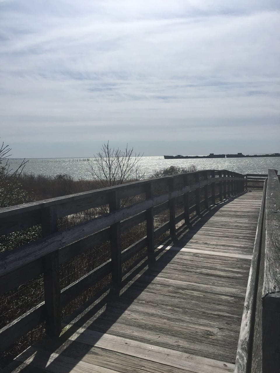 Nature Boardwalk