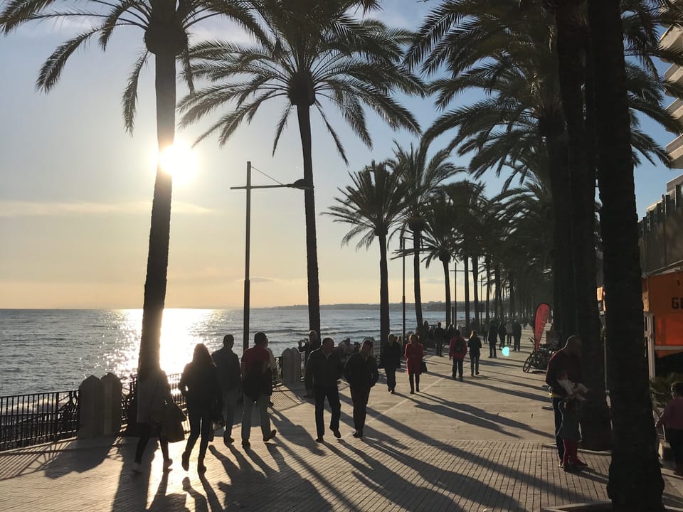 Neptuno 204 (15)