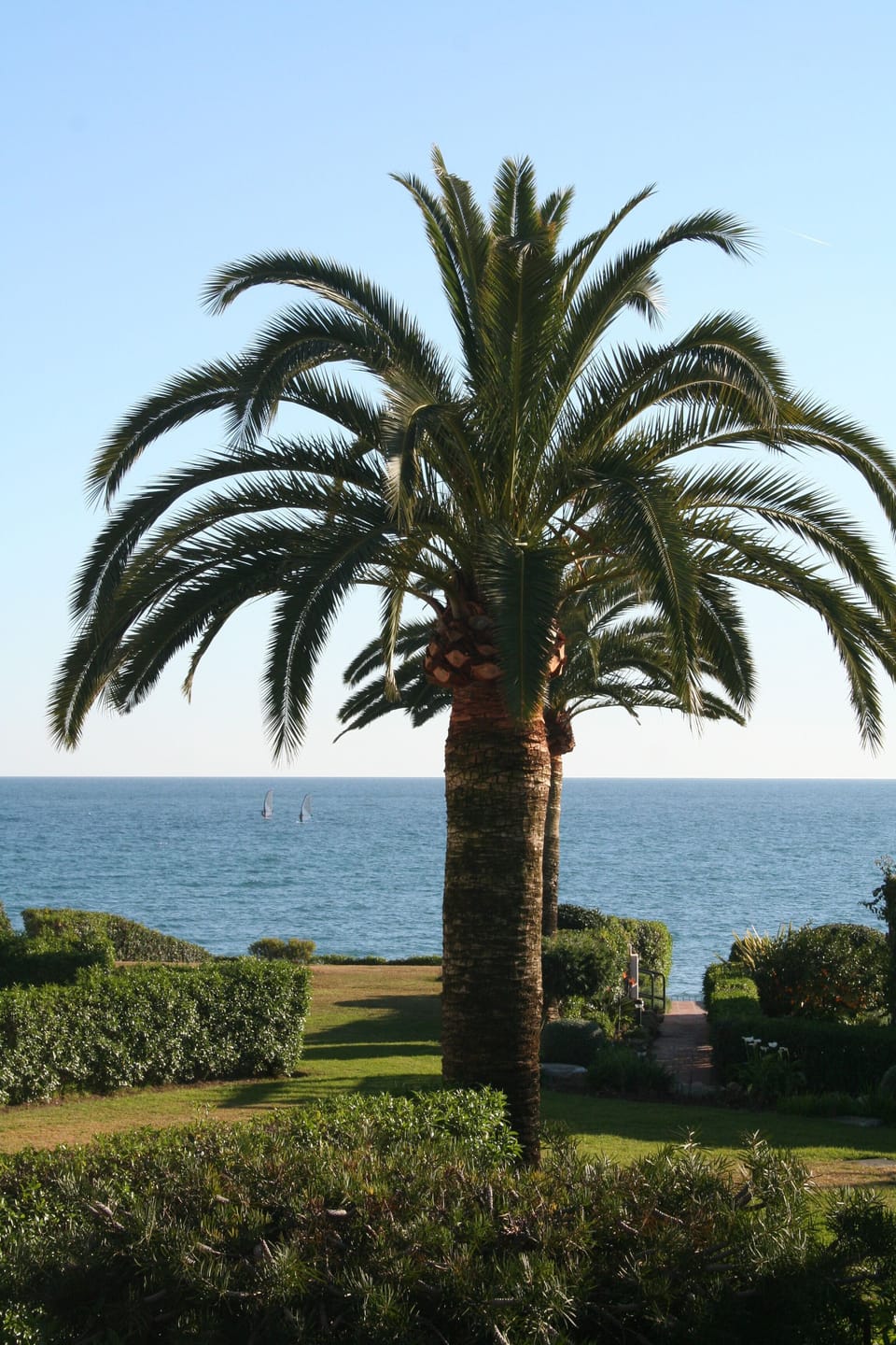 Amazing sea view from your terrace