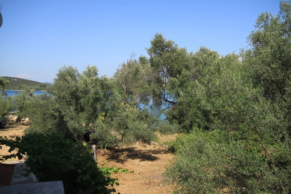 Terrace 2