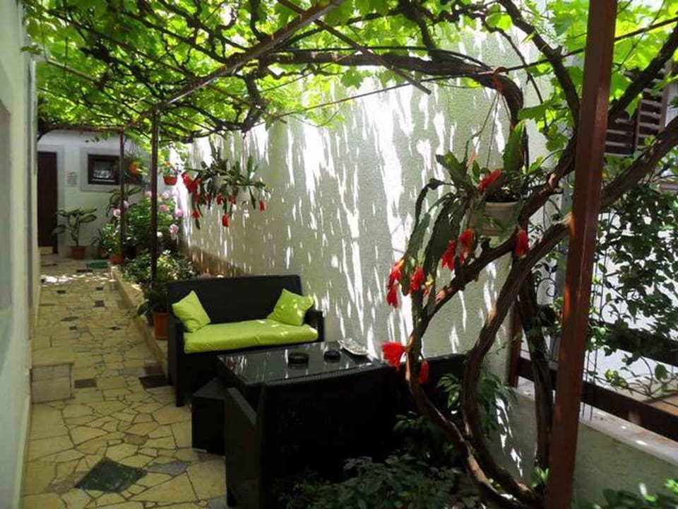 terrace