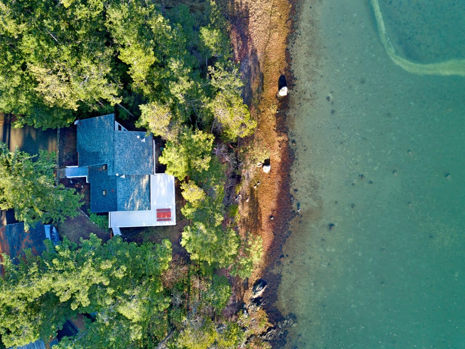 Enoy wildlife viewing from the close proximity to Westcott Bay
