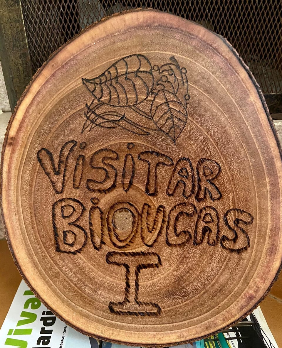 Bem Vindo!