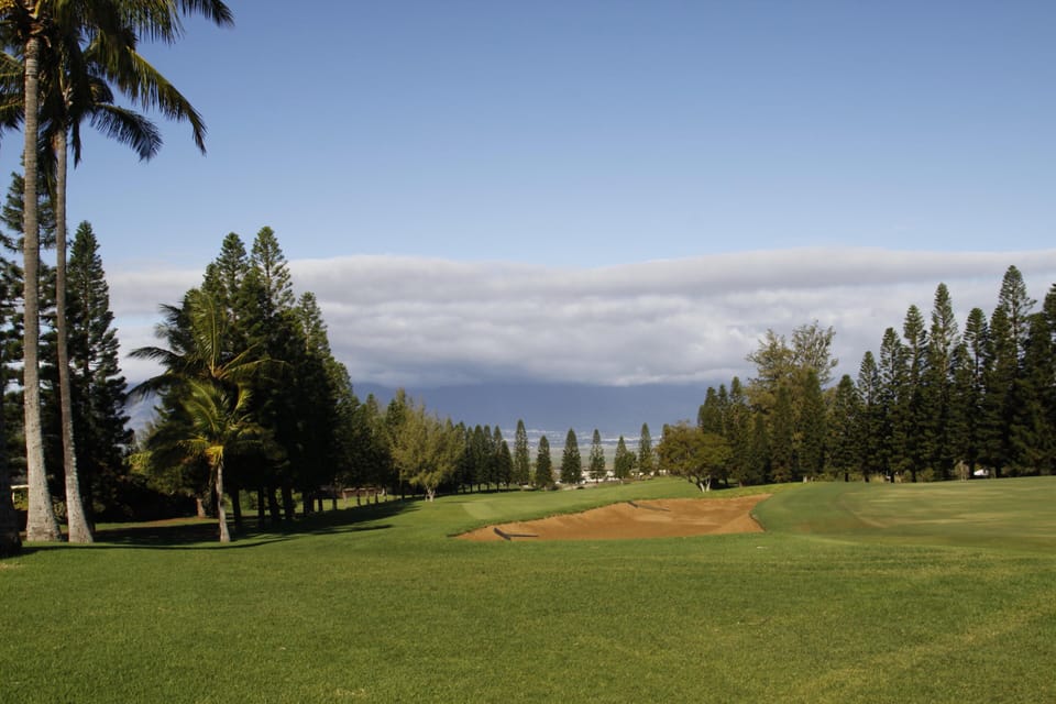 Many Golf Courses Close To The Condo