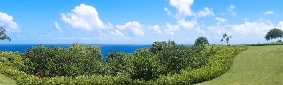View from Deck