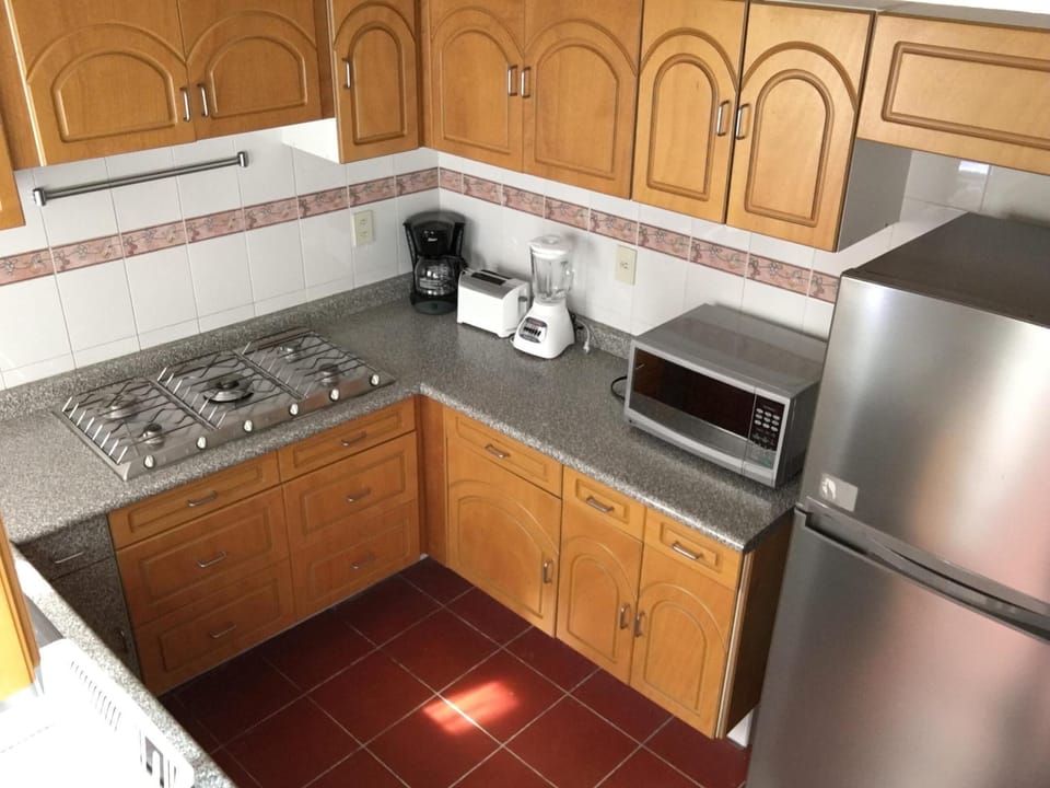 Equipped kitchen with gas grill, refrigerator, appliances, dishes and utensils