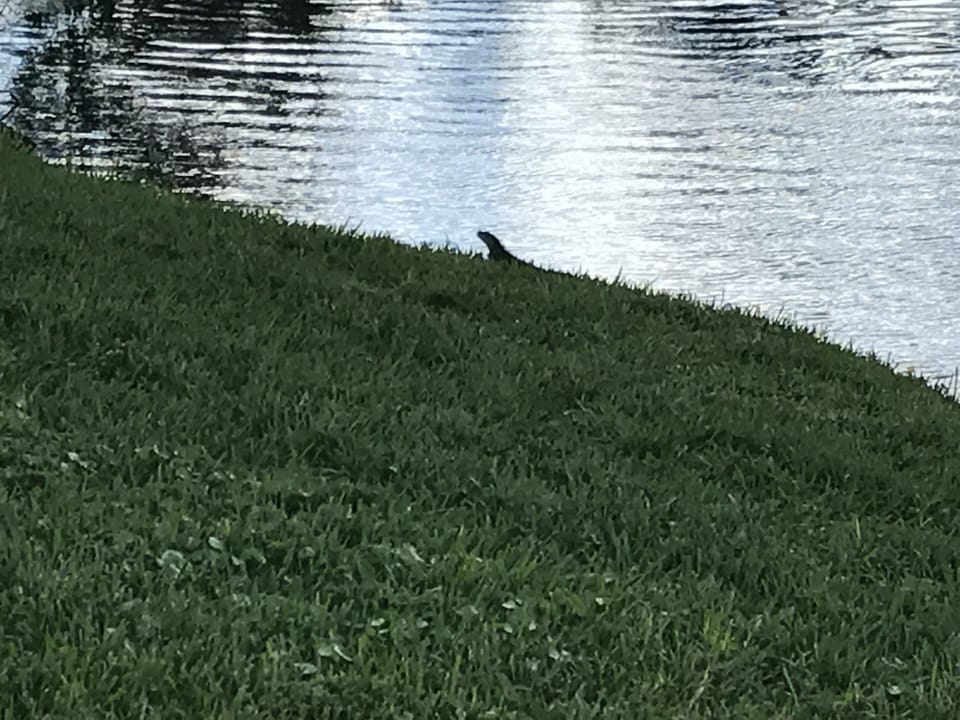 CANAL NEAR WALKING PATH