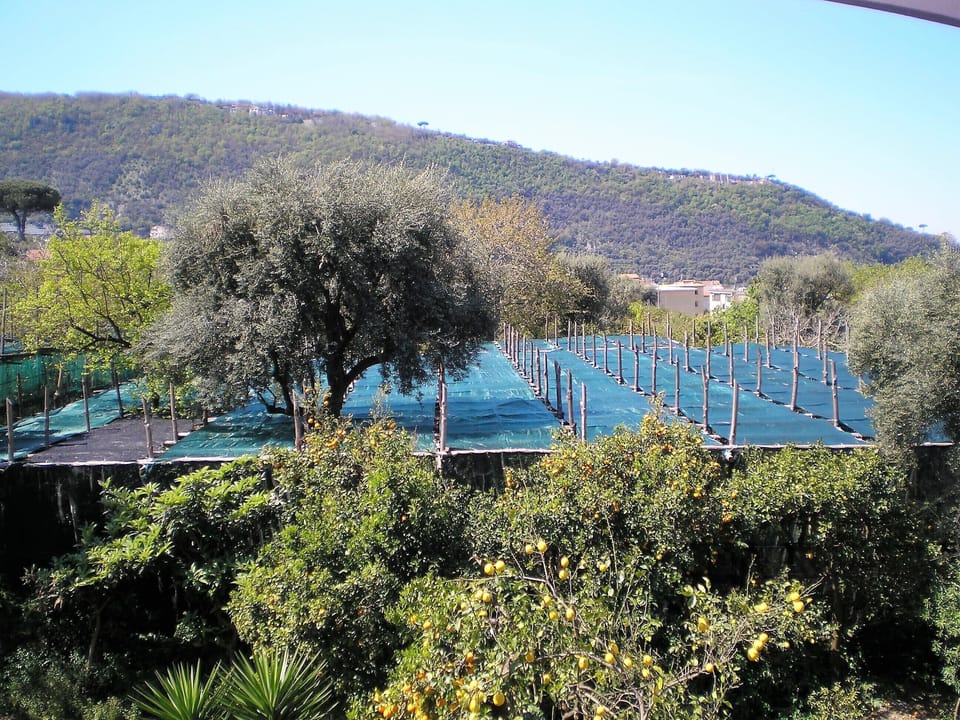 Ithaca bed and breakfast Bed and Breakfast in Sant Agnello