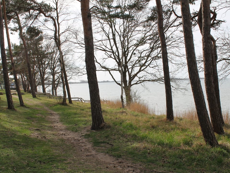 Immediate Surroundings [summer] (<1 km)