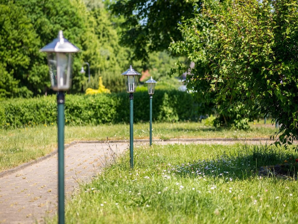 Garden [summer]