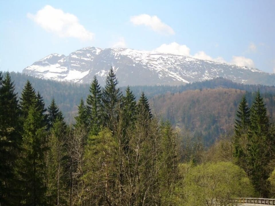 Zwei-Zimmer-Ferienwohnung, 54 m², Balkon und separater Küche Apartment in Bavaria