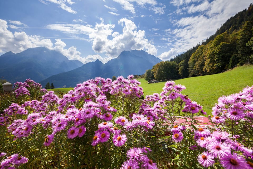 Schmuckenstein vacation apartment, 1-2 persons, 52 sqm, winter garden, balcony, W-LAN Apartment in Berchtesgadener Land