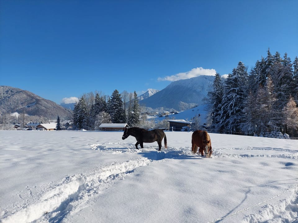 Snow and ski sports