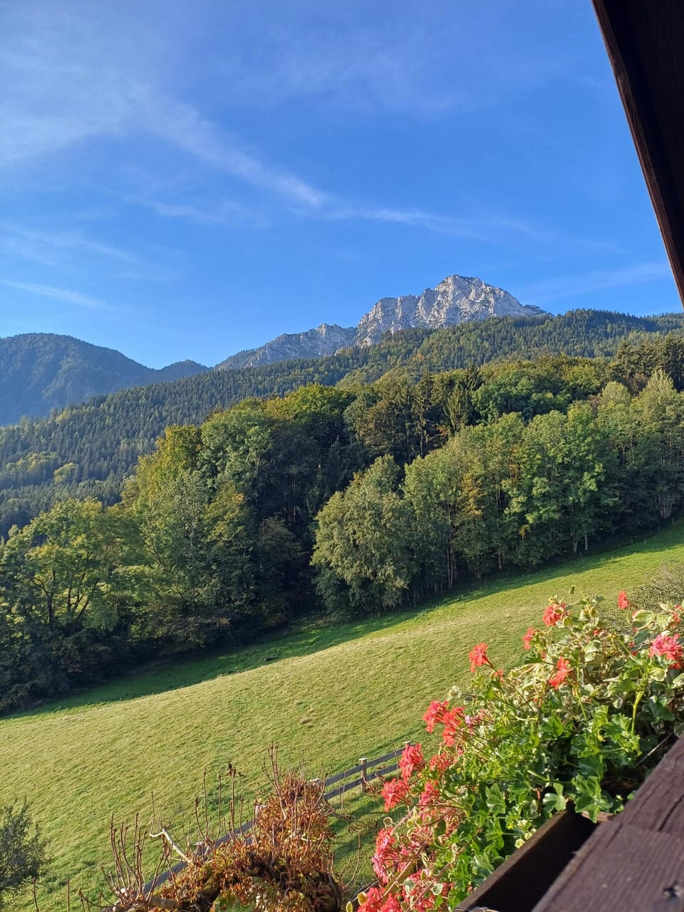 View from property