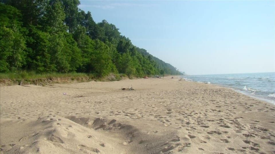 Beach Looking South