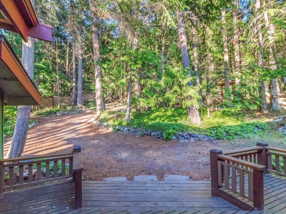 Whale View Haven is surrounded by a beautiful green forest