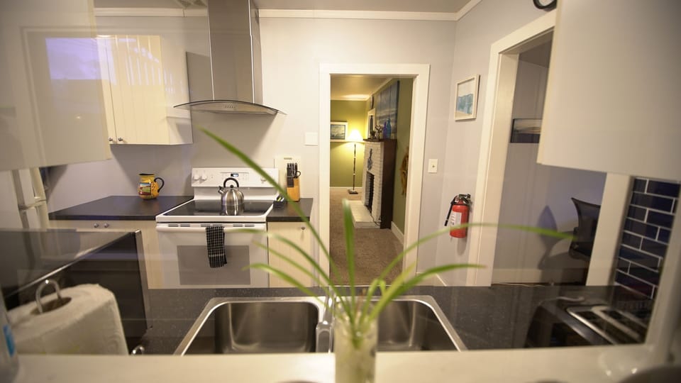 Newly renovated kitchen