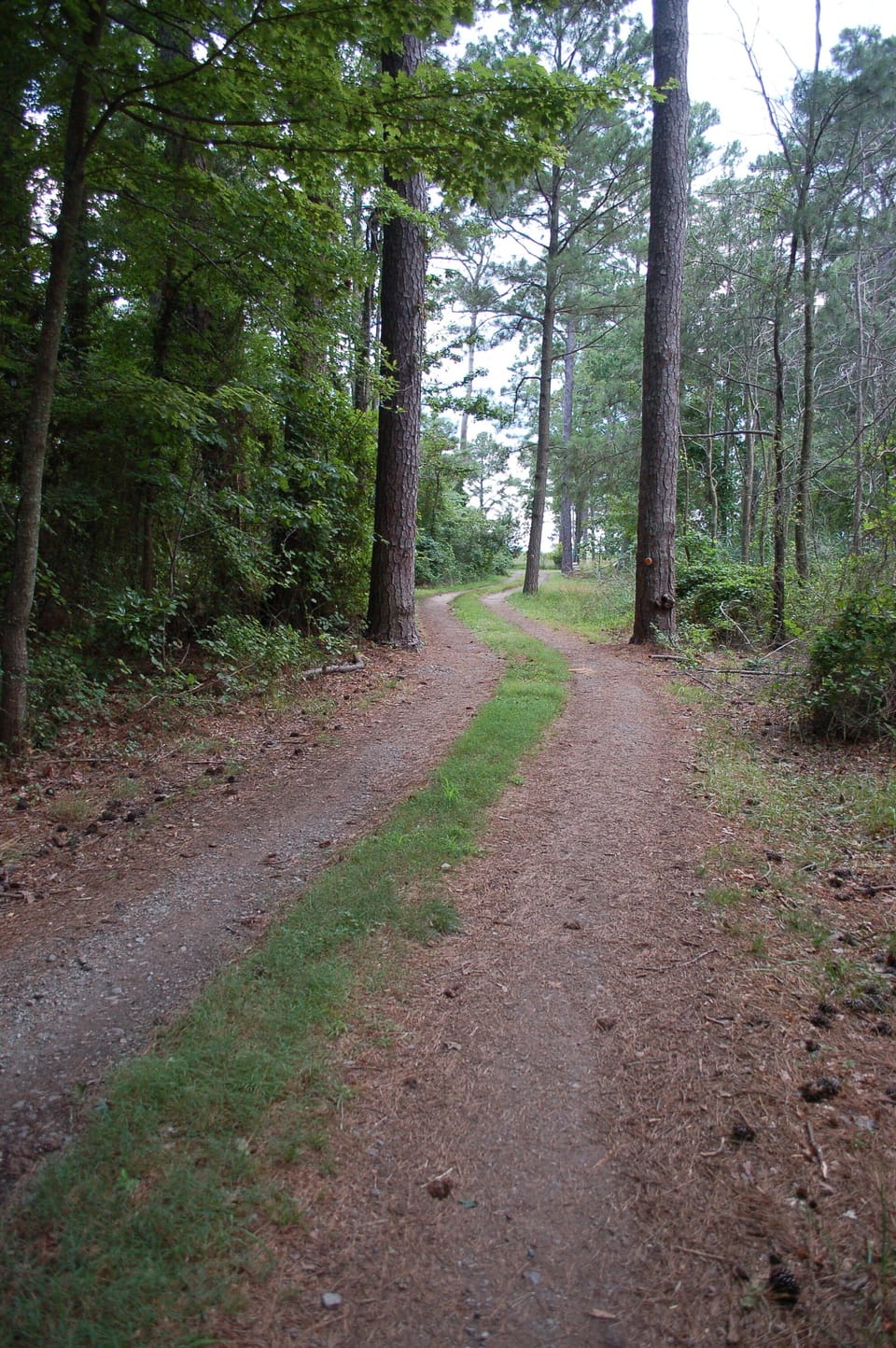 Private drive to house
