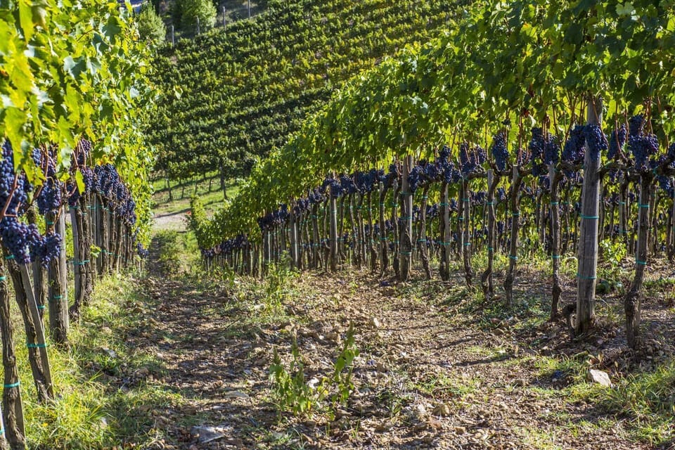 Activities, Scenic View