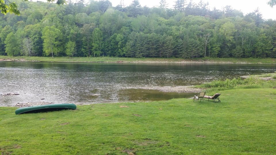 backyard/beach view