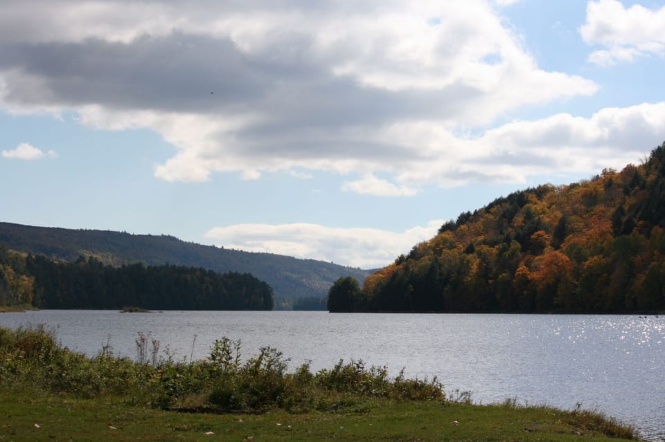 view from the backyard