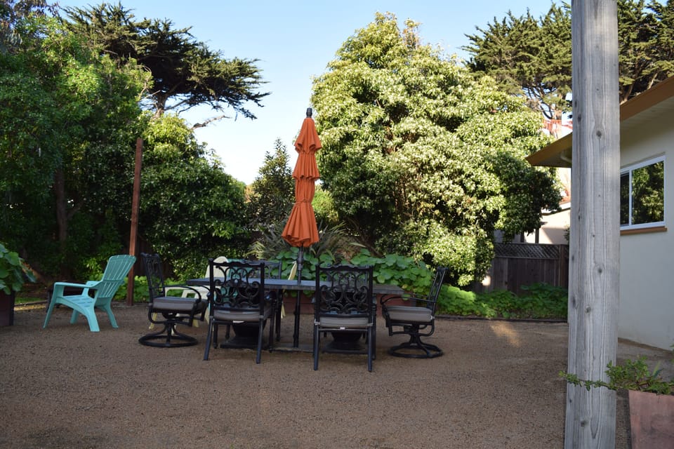 Backyard Outdoor Dining for 8-10 people