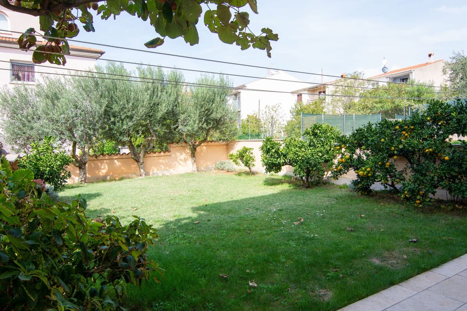 Terrace 1