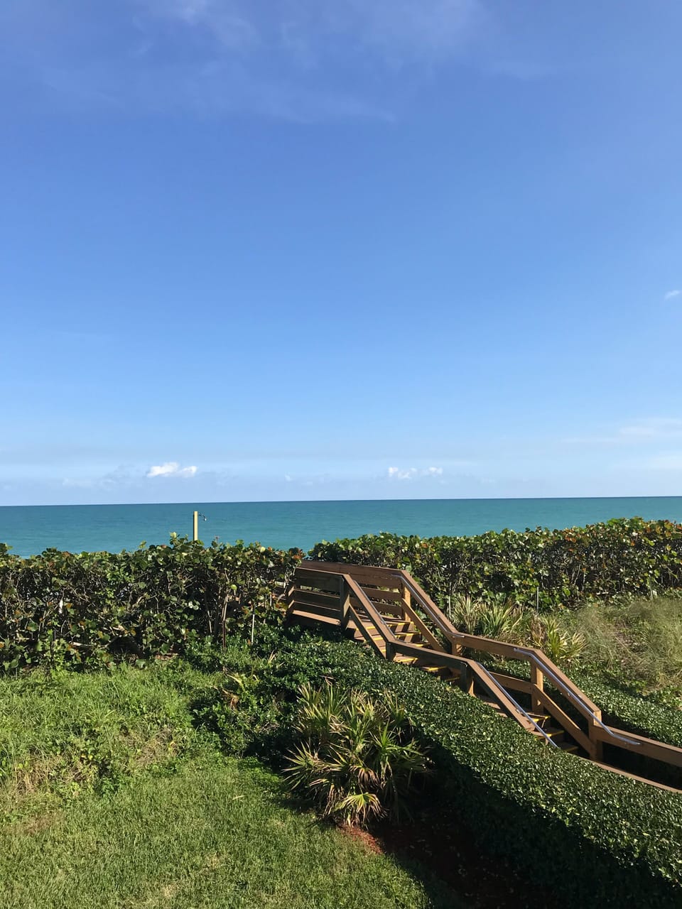 Beautiful view from balcony 