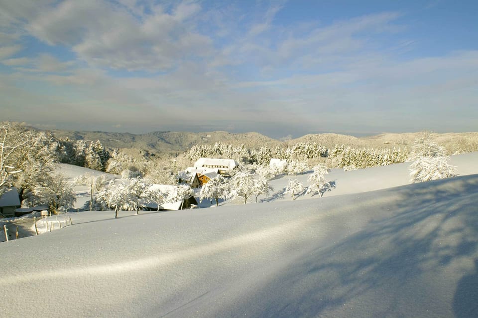 Snow and ski sports