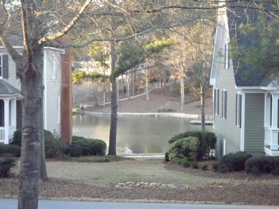 View from our front door.